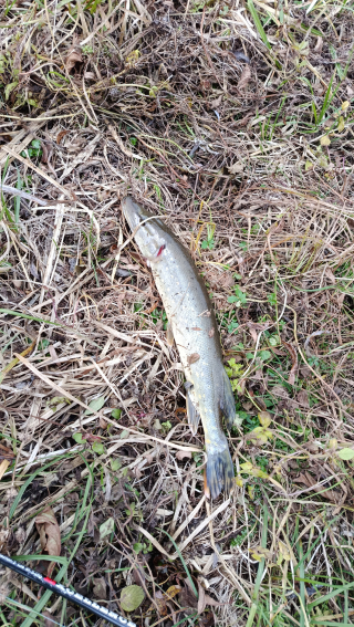 р.Стубла, зображення 2